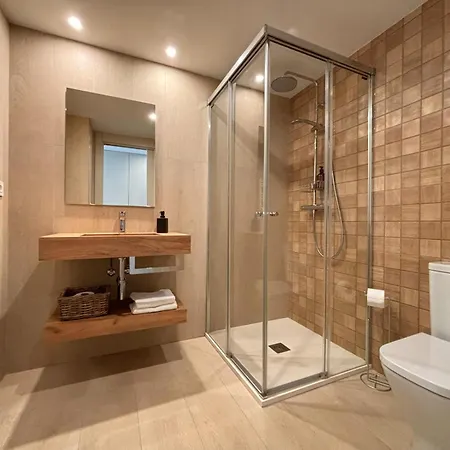 Bpirineos-perdiguero *